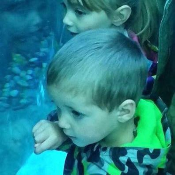 Meet your Posher, Larry - Picture 1 of 1